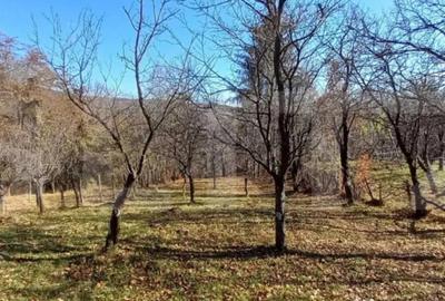 Teren de 29863 mp, în Central - 1