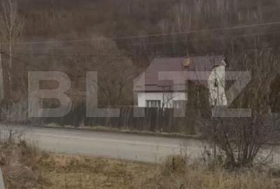 Spațiu comercial, în Ciurila - 3
