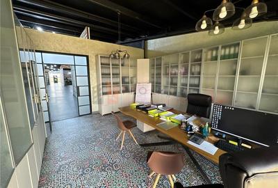 Spatiu de birouri si hala comerciala zona Maracineni - 18