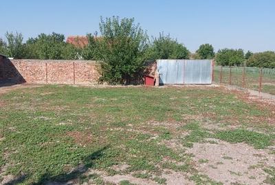 Vind casă in Voiteg Timis - 4