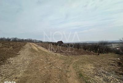 Spațiu comercial, în Central - 3