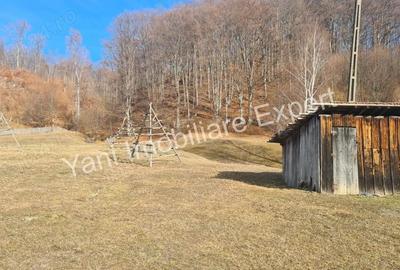 Teren de 4681 mp, în Bărăști - 10