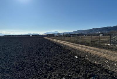 Teren Construcții intravilan de 5840 mp, în Codlea