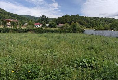 Teren de 122 mp, în Slănic-Moldova - 5