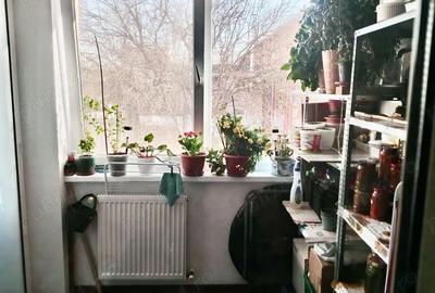 Apartament cu 2 camere decomandat în Trivale - 3