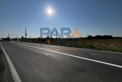 Teren între Cordun și E85 Teren între Cordun și E85 - 3