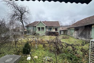 Teren 3000 mp + 2 case de vanzare-Ca?eiu - 15