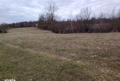 Teren de 4000 mp, în Șinca - 3