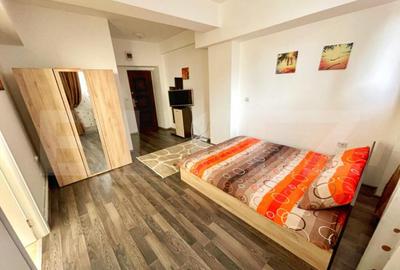 Garsonieră în Brazda lui Novac - 3