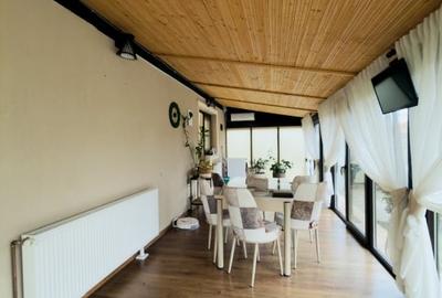 Casa individuala 4 camere, mobilata modern, teren 404mp in Utvin - 19