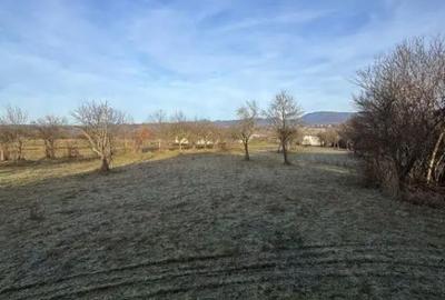 Casă cu 3 camere cu Teren 2500 Mp în Șindrești - 5