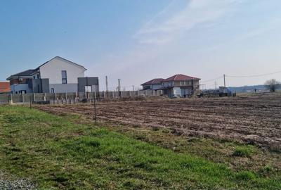 Teren Construcții intravilan de 701 mp, în Dumbrăvița - 2
