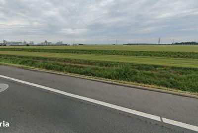 Teren de 26800 mp, în Lehliu - 4