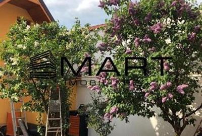 Casa cu 6 camere zona Terezian - 18