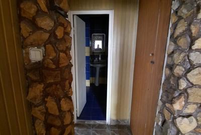 Apartament cu 4 camere decomandat în Olteniței - 8