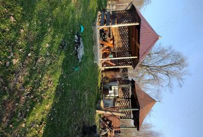 Casă cu 3 camere în Licurici - 7