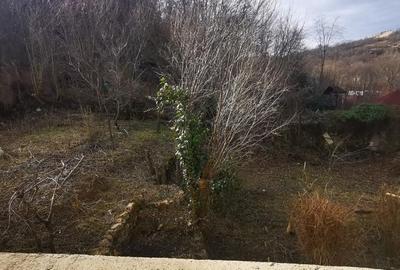 100 EURO mp apartament 100mp cu mansarda 50mp terase 40 mp curte 300mp negociabil - 11