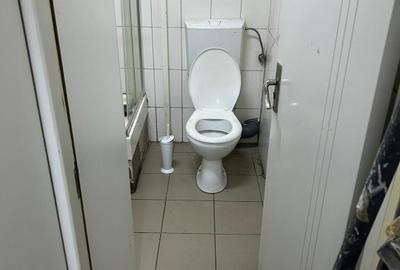 Spatiu Comercial De Inchiriat Petre Isiprescu - 14