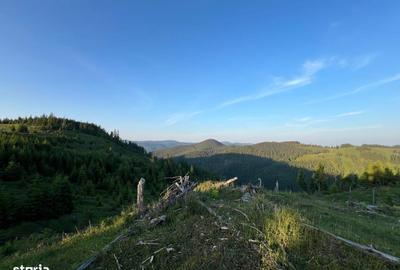 Teren de 500000 mp, în Ciocănești - 5