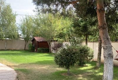 LIZIERA PADURII SAFTICA BALOTESTI CASA SI TEREN INCHIRIERE - 2
