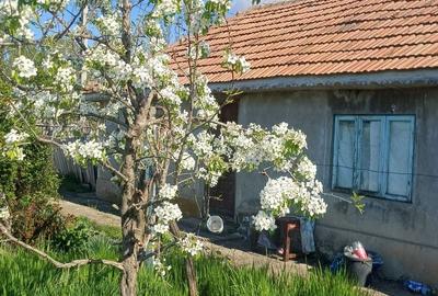 Casă cu 3 camere în Gara Bobocu - 1
