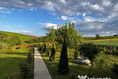 Casă cu 2 camere cu Teren 1751 Mp în Periferie - 11