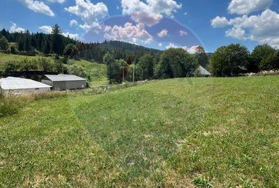 Teren 4397 mp Intravilan Manastirea Humorului / Lunga Buc... - 11