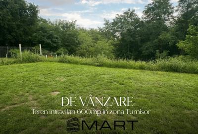 Teren de 600 mp, în Turnișor - 1