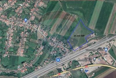 Teren Construcții intravilan de 5000 mp, în Vințu de Jos - 3