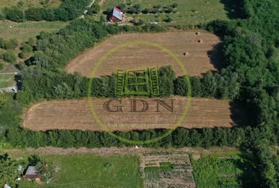 Teren agricol extravilan de 1413 mp, în Exterior Est - 5