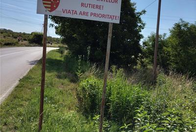 Teren de 4200 mp, în Nord - 3
