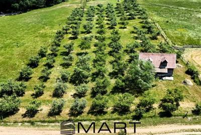 Teren de 5000 mp, în Mihai Viteazul - 2