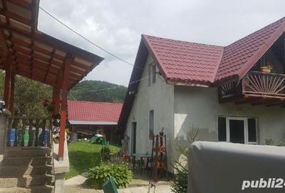 Casă cu Teren 2400 Mp în Cavnic - 6
