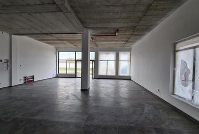 EXCLUSIV, Spatiu Mosnita Noua, artera principala, vizibilitate buna - 8