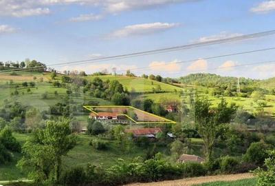 Teren intravilan de vanzare, 2962 mp, zona Sulighete, Deva - 2