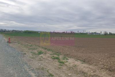 Teren Construcții intravilan de 7567 mp, în Sud - 4