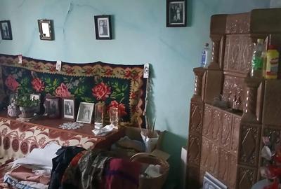 Vand casa batraneasca - 5