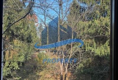 Pensiune/ Vila Valea Avrigului Pensiune/ Vila Valea Avrigului - 18