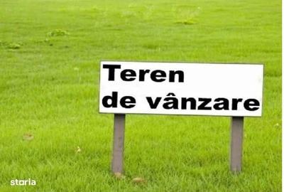 Spațiu comercial, în Viile Noi - 4