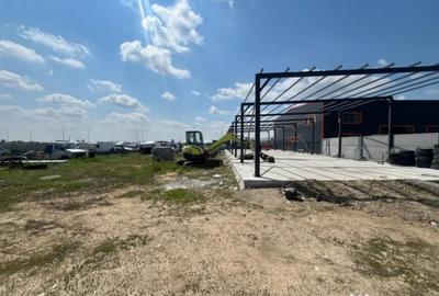 Teren în Cârcea - 9