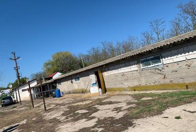 Fermă de vânzare în com. Deleni - DN3 - 10.680 mp - 84 m deschidere - 12