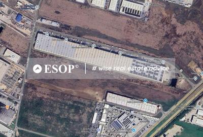 Vanzare Teren 10.000 mp - Rudeni, Chitila- ID 15475 - 4