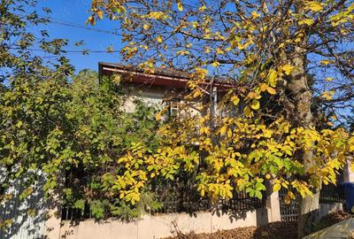 Casa P+1 Petrachioaia - 7