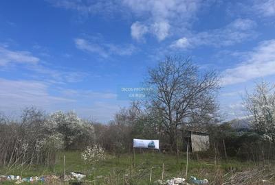 Teren agricol intravilan de 4967 mp, în Nord - 1