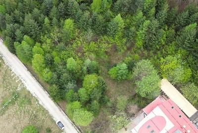 Teren 6500mp Dambu Morii - Bunloc, Brasov - 2