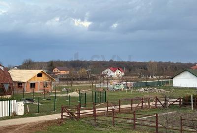 Casă individuală cu 3 camere cu Canalizare în Ciolpani - 17