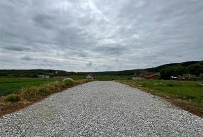 RECO teren de vanzare in zona Betfia - 5