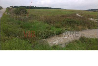 Teren de 17400 mp, în Brazda lui Novac - 2