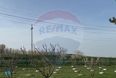 Vanzare Casa/Vila - Ansamblu rezidential - Cernavoda Vanzare Casa/Vila - Ansamblu rezidential - Cernavoda - 13