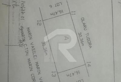 CIOLPANI Lot 500 MP - 3